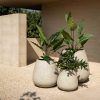 Jardinico Pots | Cumino Conico Set - Image 5