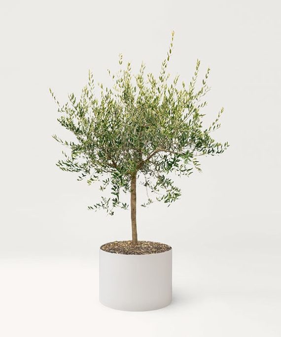 Paola Lenti Shield Landscape Planter Pots
