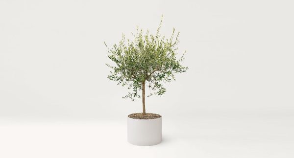 Paola Lenti Shield Landscape Planter Pots