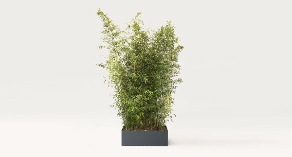 Paola Lenti Shield Landscape Planter Pots - Image 5